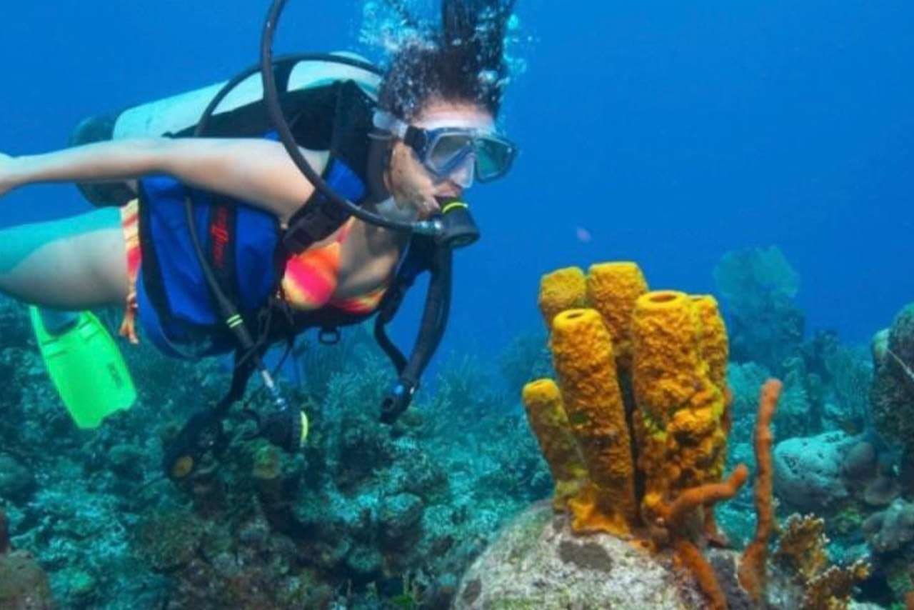 Scuba Diving at Sporting Club Beach