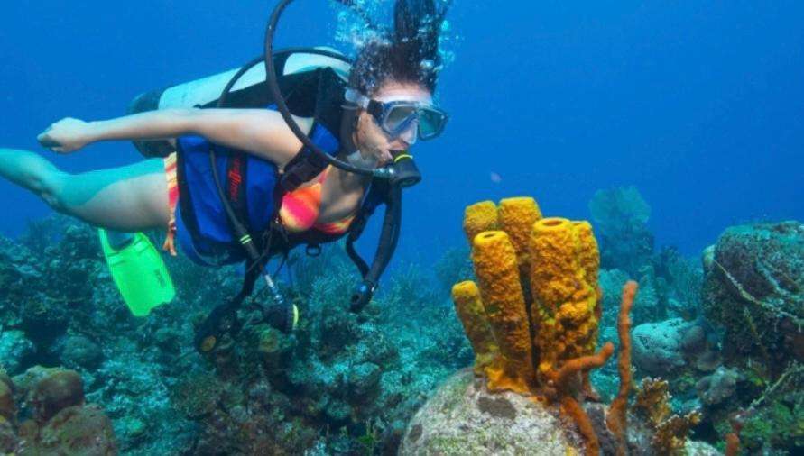 A scuba diver exploring a reef off Sporting Club Beach in Ras Beirut