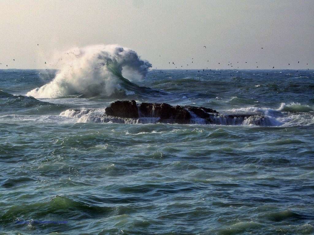 Waves breaking around a small islet off the rocky shoreline at Sporting Club Beach
